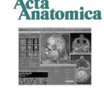 Acta Anatomica 160, No. 2, 1997