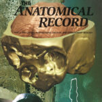 Anatomical Record 276A, No. 2, 2004