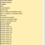 List of anatomical structures