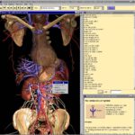 Investigation of internal structures