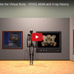 Professor Roentgen meets the Virtual Body