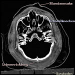 Transverse cross-section of the mummy from CT