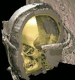 Mummy skull