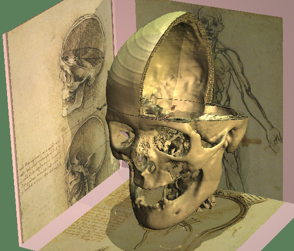 Skull as seen by Leonardo and by VOXEL-MAN. (1998)
